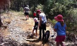 January 15-23 January 15-23