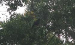 Smile time Smile time