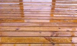 30/1/12 - 5/2/12 30/1/12 - 5/2/12