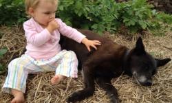 12/3/12 - 19/3/12 12/3/12 - 19/3/12