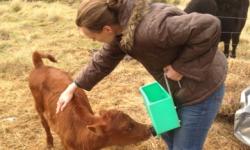 21/5/12 - 27/5/12 21/5/12 - 27/5/12