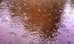 18/6/12 - 24/6/12 18/6/12 - 24/6/12