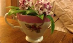 20/8/12 - 26/8/12: 20/8/12 - 26/8/12: