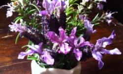 27/8/12-2/9/12 27/8/12-2/9/12