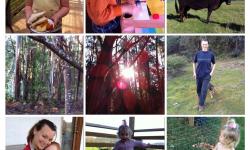 8/10/12 - 14/10/12 8/10/12 - 14/10/12