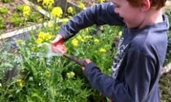 29/10/12 - 4/11/12 29/10/12 - 4/11/12