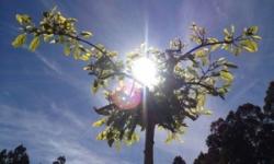 5-11/12 - 11/11/12: 5-11/12 - 11/11/12: