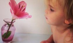 1/1/13 - 6/1/13 1/1/13 - 6/1/13