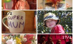 February 12 - 17 February 12 - 17