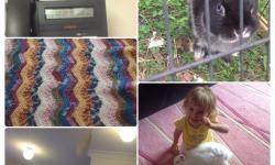 March 12-16 March 12-16